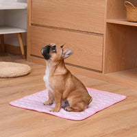 Tapete Gelado para Pets